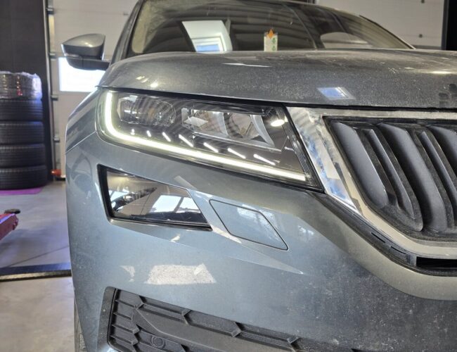 Kodiaq (2)